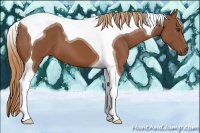 Horse Color:Chestnut Tobiano
