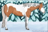 Horse Color:Silver Bay Splash Tobiano 