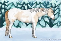 Horse Color:Smoky Black Pearl Tobiano Frame 