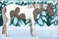 Horse Color:Silver Black Tobiano 