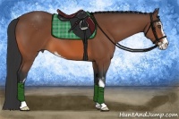 Horse Color:Bay Sabino 