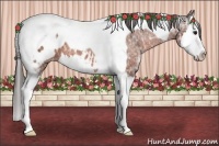 Horse Color:Bay Ice Sabino Splash Tobiano Appaloosa 