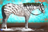 Horse Color:Brown Ice Sabino Splash