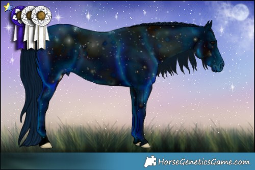 Horse Color:ERROR: UNKNOWN ANOMALY