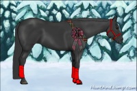 Horse Color:Black Rabicano 