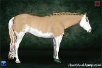 Horse Color:Red Dun Sabino Splash Rabicano 