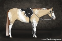 Horse Color:White Spotted Red Dun Splash