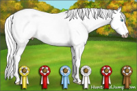 Horse Color:Gray Perlino Roan Tobiano 