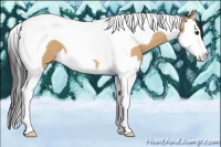Horse Color:Bay Dun Splash Tobiano 