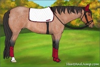 Horse Color:Bay Roan 