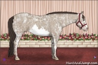 Horse Color:White Spotted Classic Champagne Ice Splash Frame 