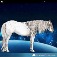 Horse Color:Silver Black Sabino Blanket Rabicano