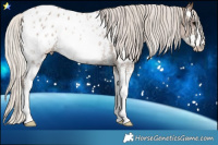 Horse Color:Silver Black Sabino Blanket Rabicano 