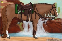 Horse Color:Chestnut Sabino 