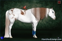 Horse Color:Chestnut Sabino Splash 