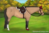 Horse Color:Buckskin Roan 