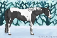 Horse Color:Smoky Black Splash Tobiano