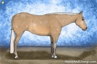Horse Color:Silver Buckskin 