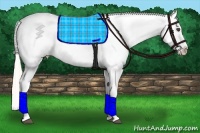 Horse Color:Silver Brown Sabino Appaloosa