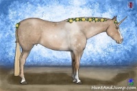 Horse Color:Liver Chestnut Pearl Sabino 