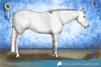 Horse Color:Liver Chestnut Pearl Sabino 