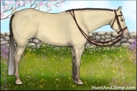 Horse Color:Amber Cream Champagne Dun 