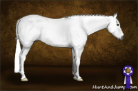 Horse Color:Gray Bay