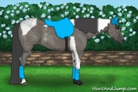 Horse Color:Smoky Grullo Tobiano 