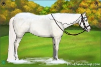 Horse Color:Silver Classic Cream Champagne Ice Pearl Dun Sabino Splash 