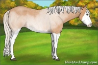 Horse Color:Silver Bay Roan Splash 