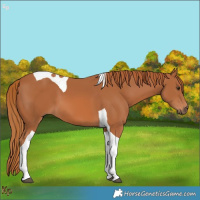 Horse Color:Chestnut Tobiano 
