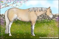 Horse Color:Silver Bay Pearl Sabino 