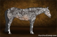 Horse Color:Buckskin Ice Rabicano 