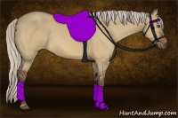 Horse Color:Silver Bay Dun 