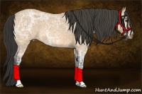 Horse Color:Buckskin Ice Roan 