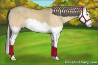 Horse Color:Amber Cream Champagne Dun Splash 