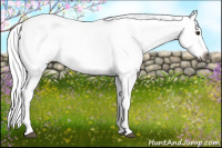 Horse Color:Gray Bay Roan Splash Snowcap Rabicano 
