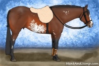 Horse Color:White Spotted Bay Sabino Splash Frame