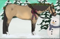 Horse Color:Buckskin Dun 