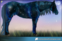 Horse Color:ERROR: UNKNOWN ANOMALY