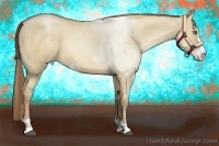 Horse Color:Liver Red Dun Pearl Sabino 