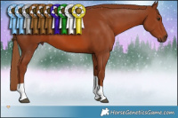 Horse Color:Chestnut Tobiano