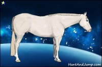 Horse Color:Smoky Creme 