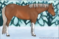 Horse Color:Silver Bay Tobiano