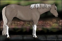 Horse Color:Silver Smoky Black Tobiano 