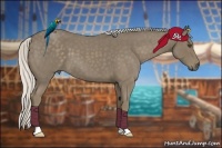 Horse Color:Silver Smoky Blue Roan 