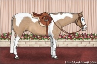 Horse Color:Silver Buckskin Roan Splash Tobiano 