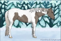 Horse Color:Silver Smoky Black Tobiano 