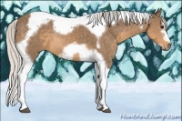 Horse Color:Silver Buckskin Splash Tobiano Frame Rabicano