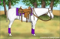 Horse Color:Buckskin Snowcap 